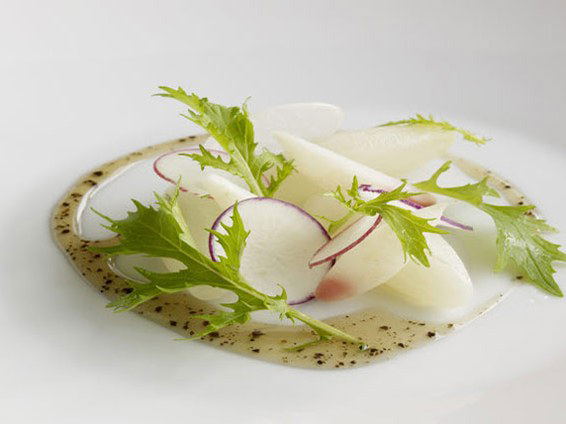 Salad with radishes, greens, and a light dressing on a white plate.