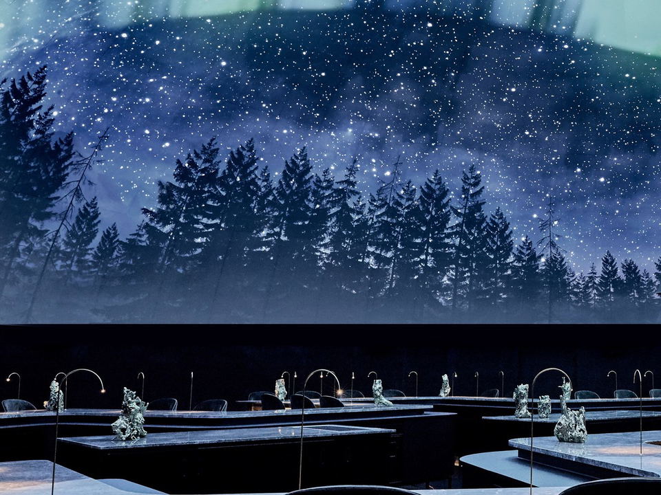 Alchemist's dome ceiling with an active aurora borealis and starry-night projection over a silhouetted pine forest.