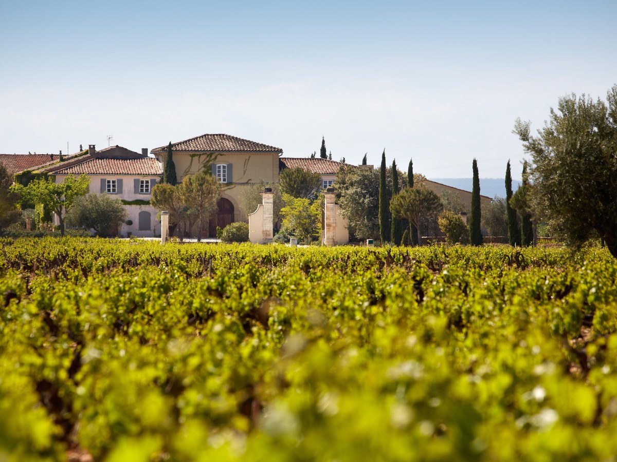 Château de Beaucastel's vibrant spring vineyards, with classic Provençal architecture under a clear sky.