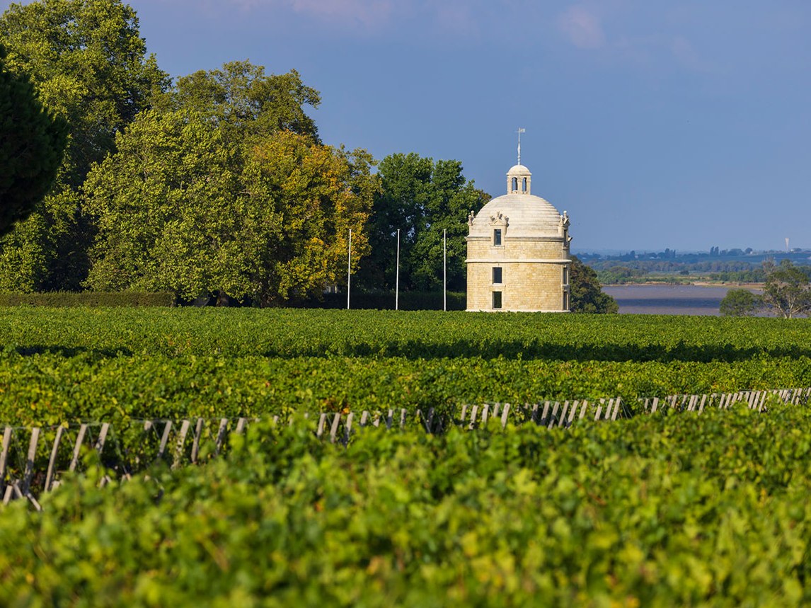 A round stone tower with a domed roof and weather vane, the iconic Château Latour tower, rises above the lush green L'Enclos vineyard plateau.