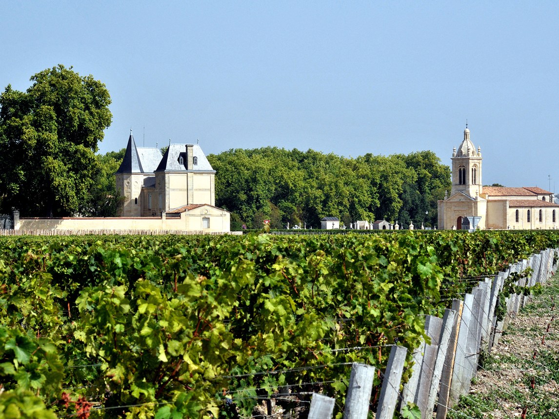 A wide shot of a vineyard with rows of green grapevines in the foreground. In the background, a large building with a grey roof and a church with a