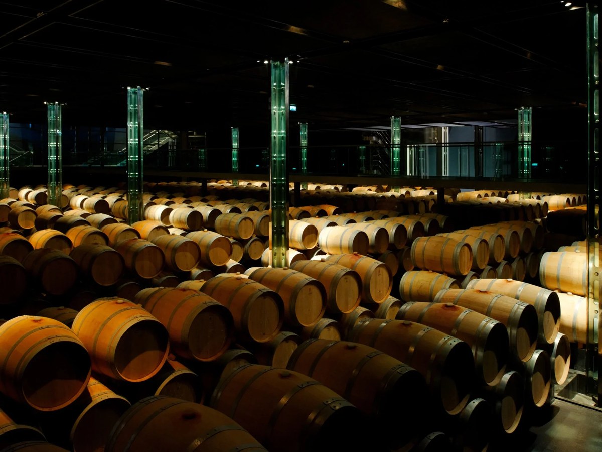 Cos d'Estournel's architecturally distinctive cellar, where hundreds of oak barrels age wine under illuminated glass columns.