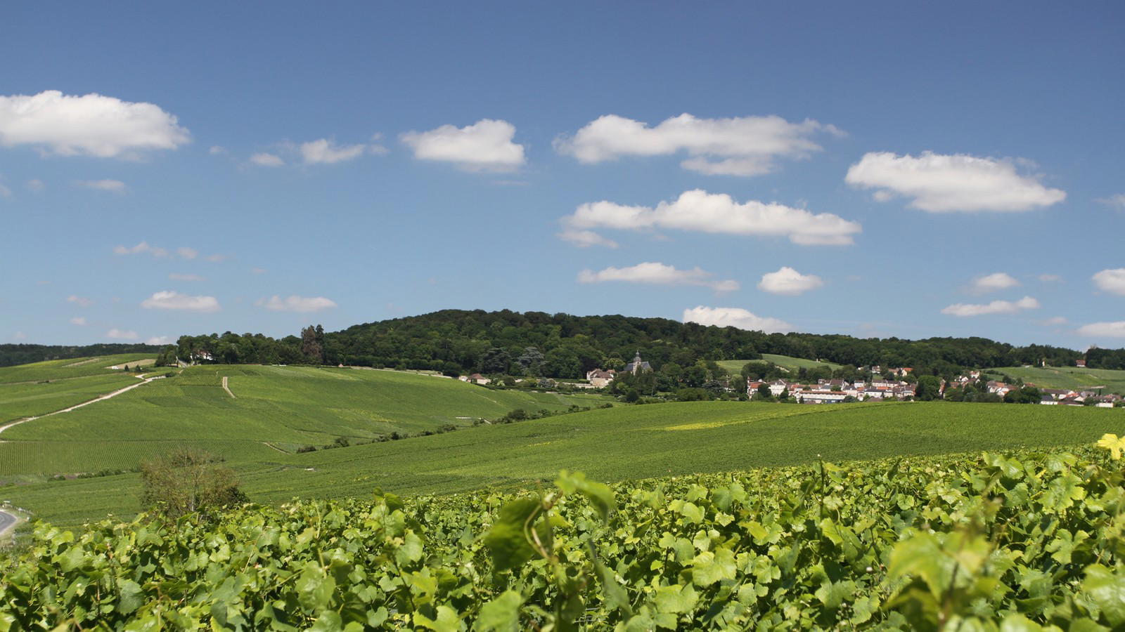 Dom Pérignon Hautvillers Visit: What You Can Book