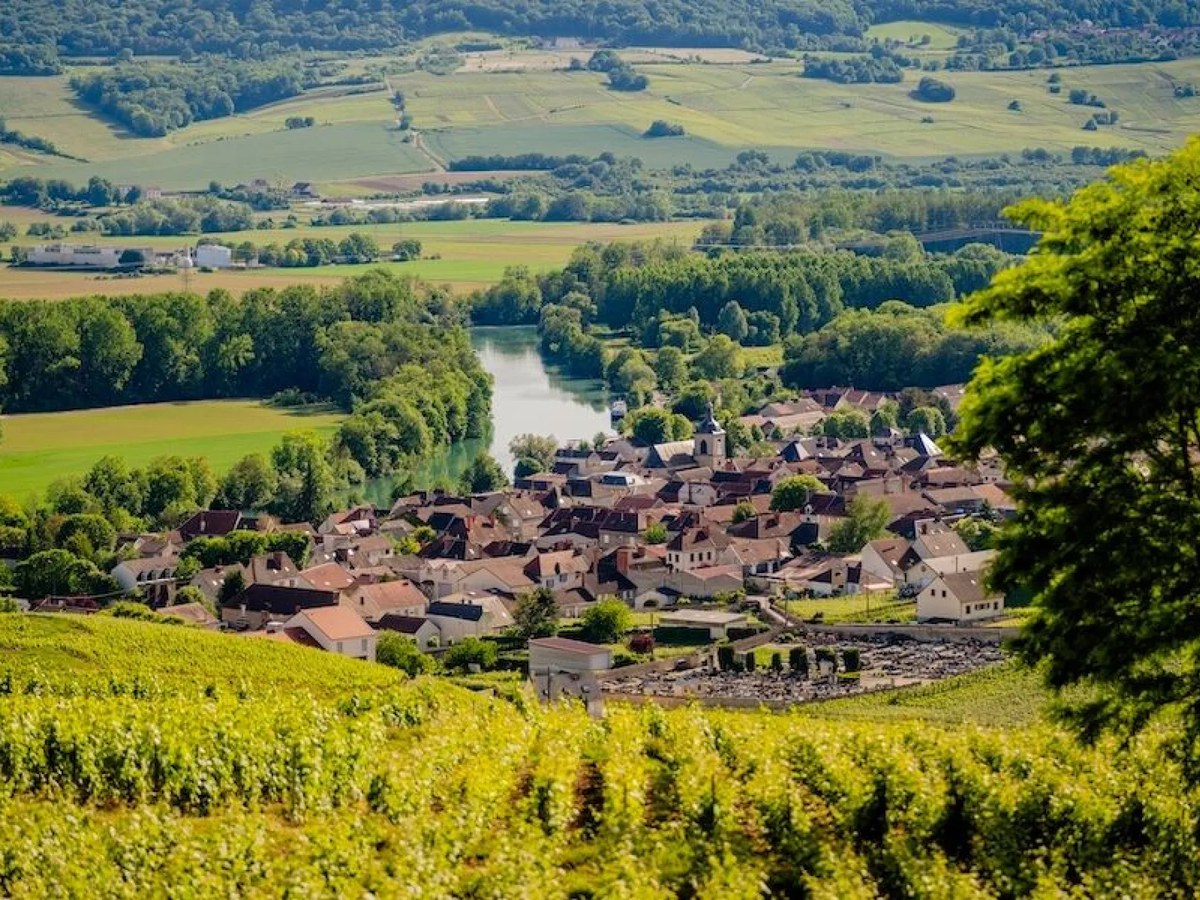 An aerial view of the village of Hautvillers, surrounded by lush green vineyards and trees, with a river winding through the landscape.