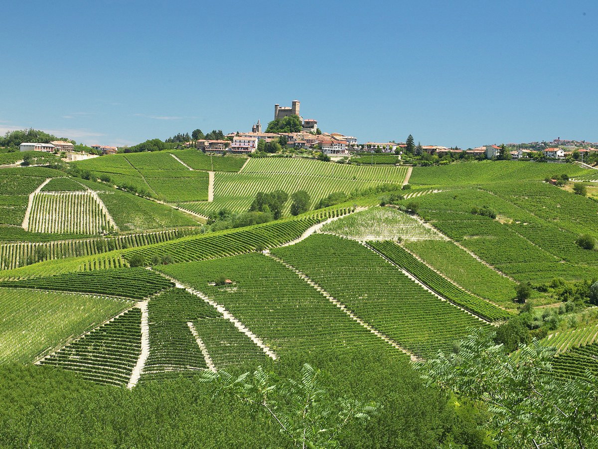 The Cascina Francia vineyard in Serralunga d'Alba, home to Giacomo Conterno's Nebbiolo vines.