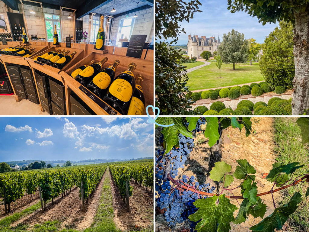 Loire Valley Wine Tours: Huet and Clos Rougeard