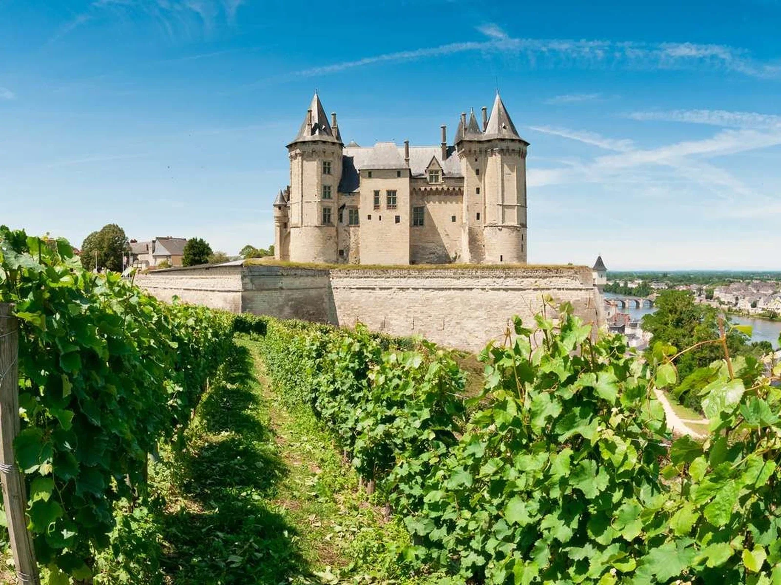 A medieval castle with multiple towers and turrets sits on a hilltop above vineyard rows, with a river and town visible in the distant landscape below.