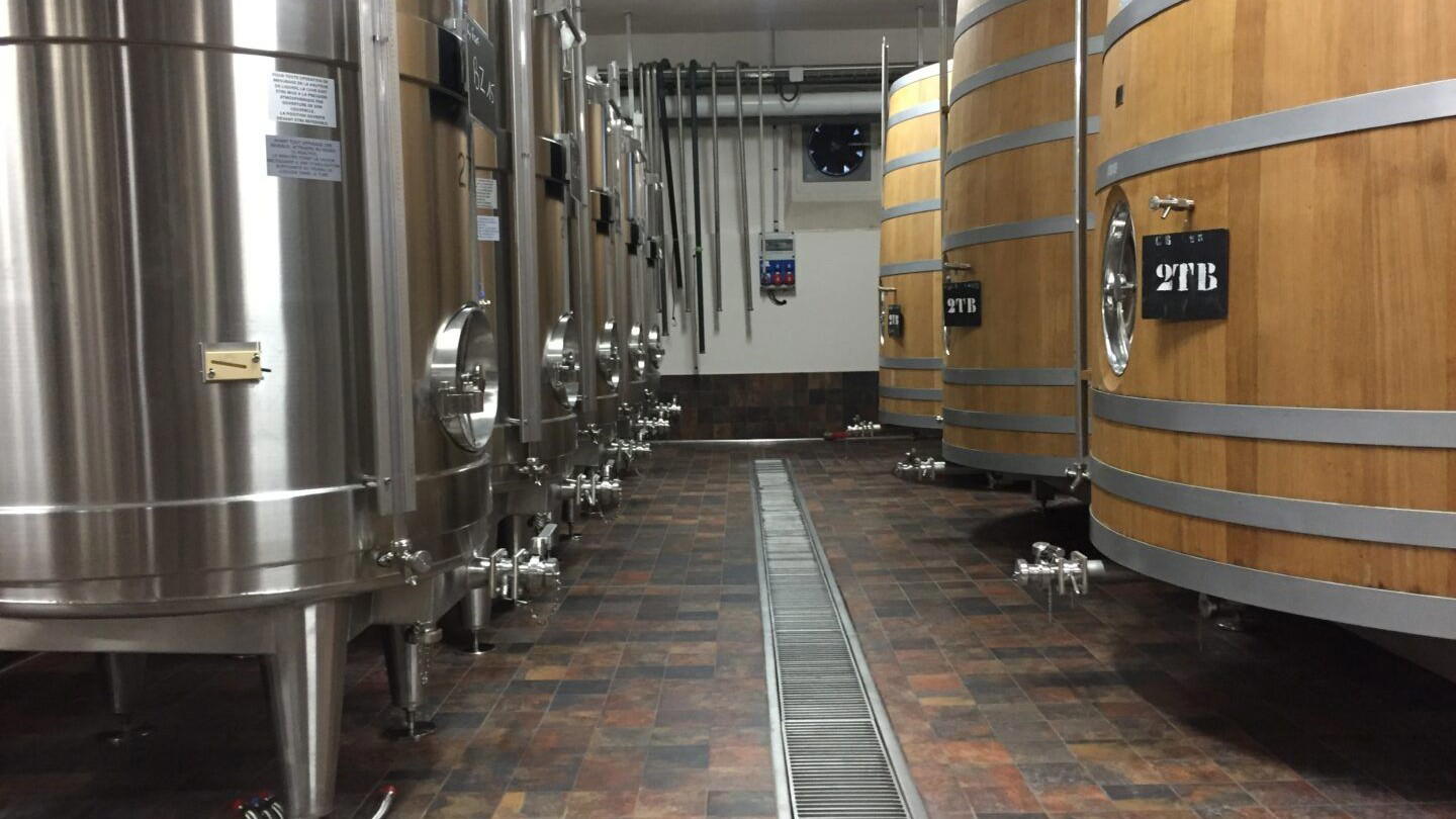What a Visit to Louis Roederer Actually Involves