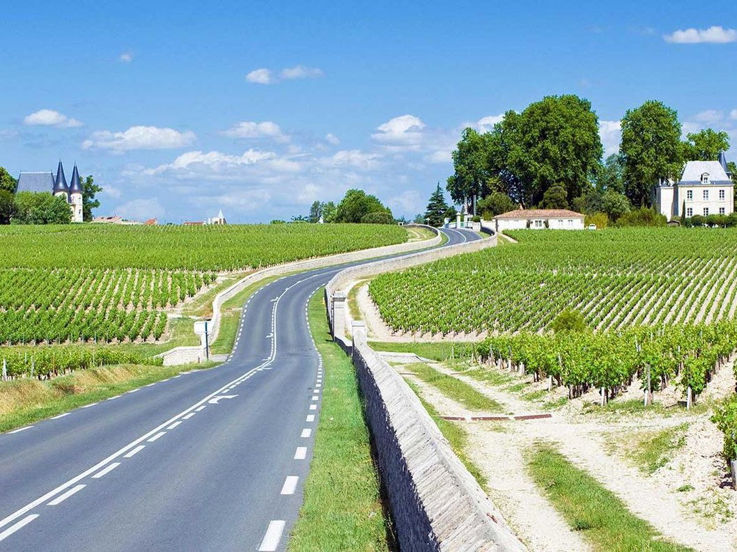 A winding road, the D2 Route des Châteaux, cuts through vibrant green vineyards under a blue sky, with châteaux visible in the distance.