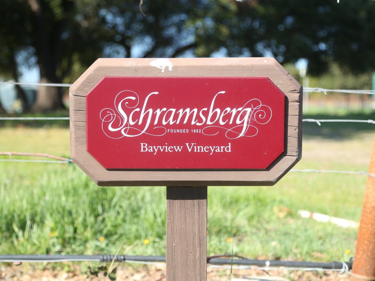 A red and brown wooden sign reads "Schramsberg Founded 1862 Bayview Vineyard" on a post in front of vineyard trellising and green grass.
