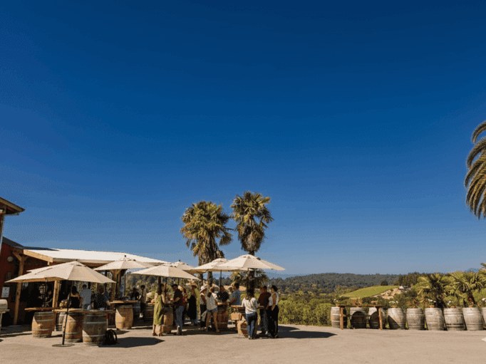 People gather under umbrellas at an outdoor winery tasting area.