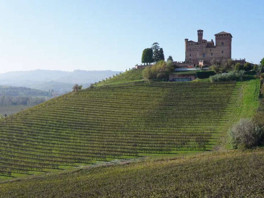 Grinzane Cavour Castle, a medieval stone structure with a prominent tower, sits atop a vineyard-covered hill under a clear sky.