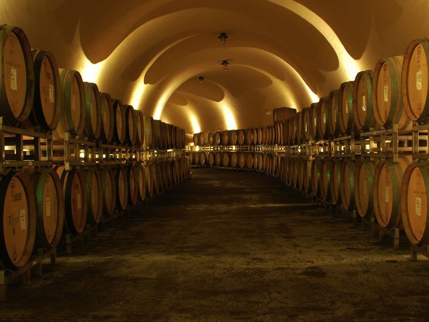 An underground barrel cellar with an arched ceiling and dramatic lighting, showing rows of oak barrels on wooden racks.