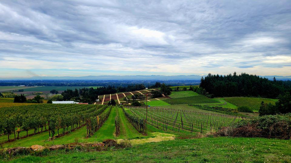 00 Wines Private Tastings in Willamette Valley