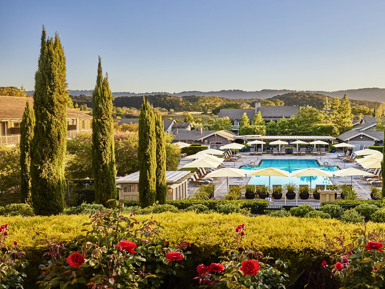 An outdoor swimming pool at Rosewood Sand Hill, surrounded by lounge chairs, umbrellas, and lush landscaping with tall trees and red roses.