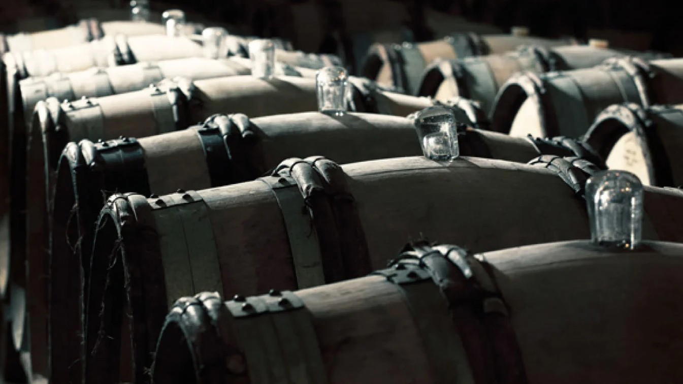 Chablis Winery Visits: How to Book William Fèvre