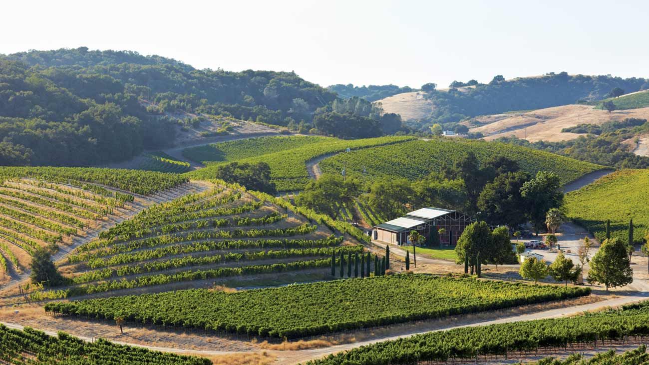 Rolling vineyard landscape with rows of grapevines on hillsides, a winery building, and characteristic Paso Robles topography