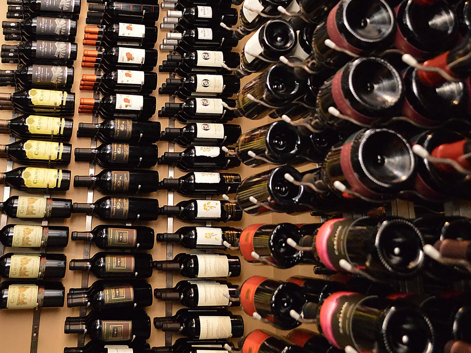A large collection of wine bottles, mostly red, are neatly arranged on a wall-mounted rack, with some bottles showing labels.
