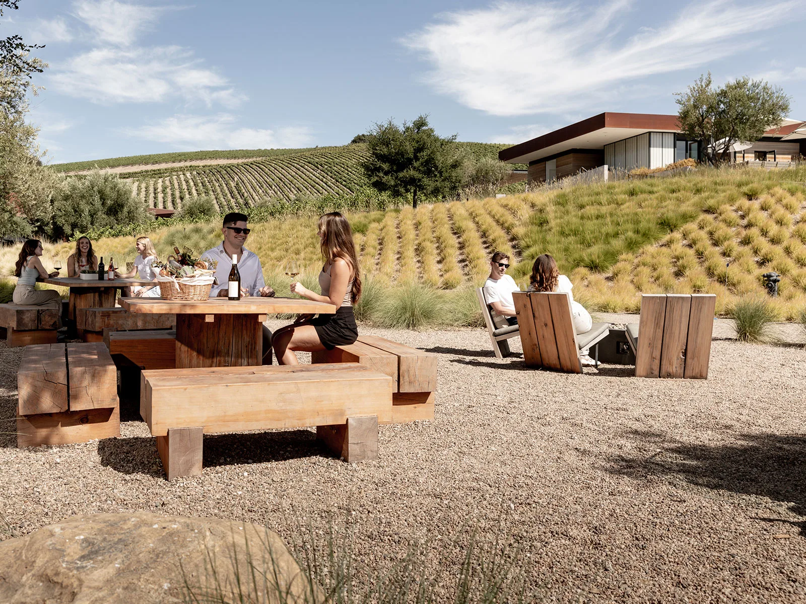 Vineyards in Paso Robles