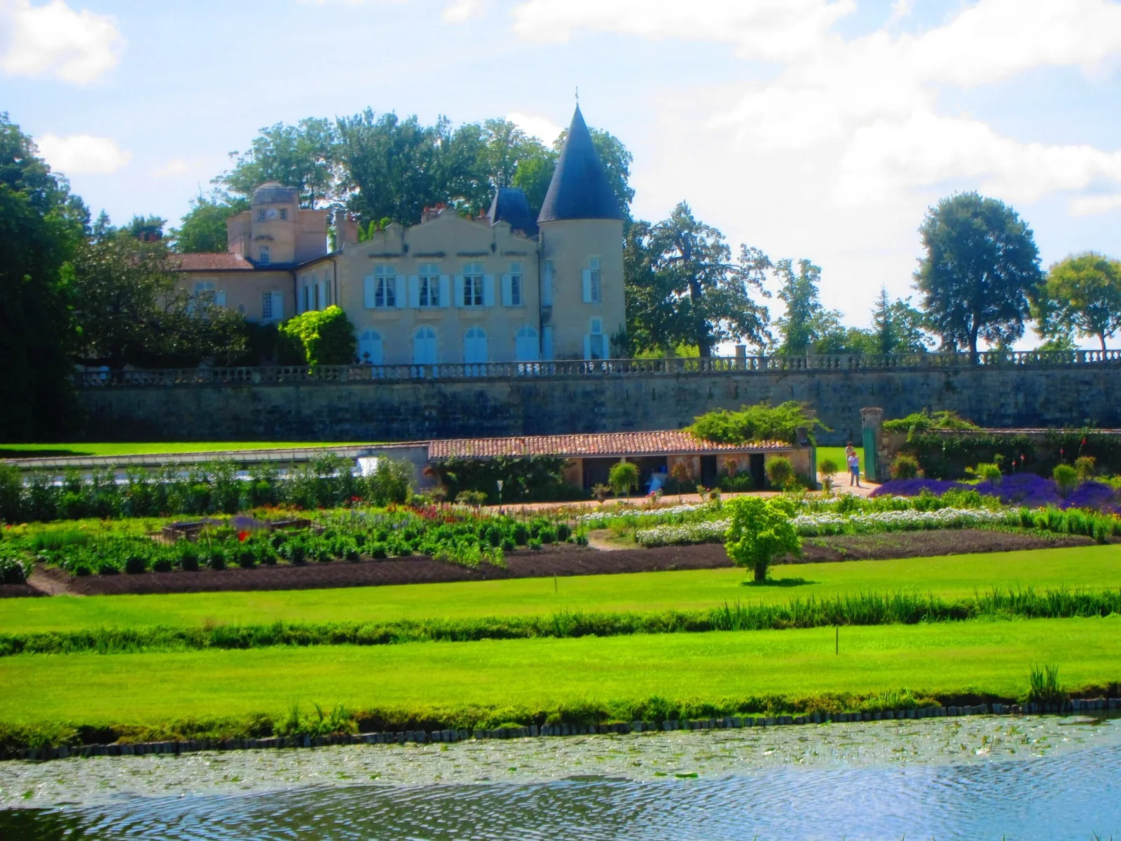 Vineyards in Bordeaux