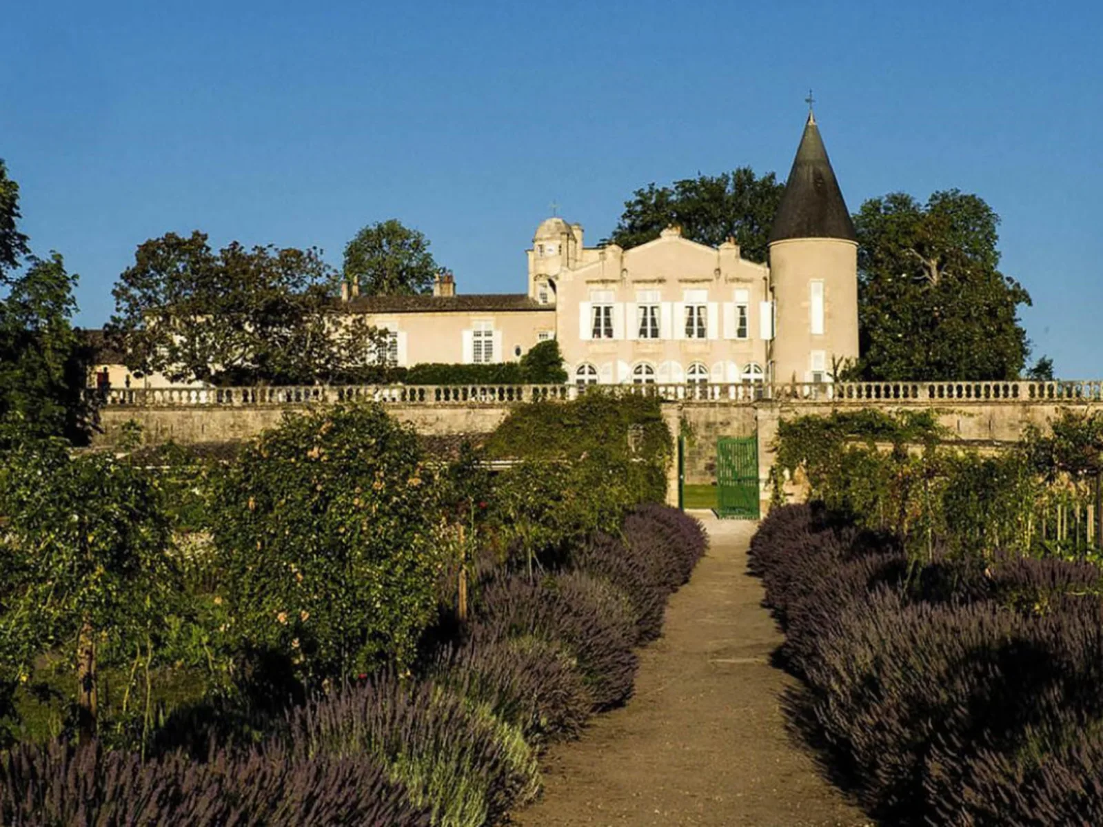 Vineyards in Bordeaux