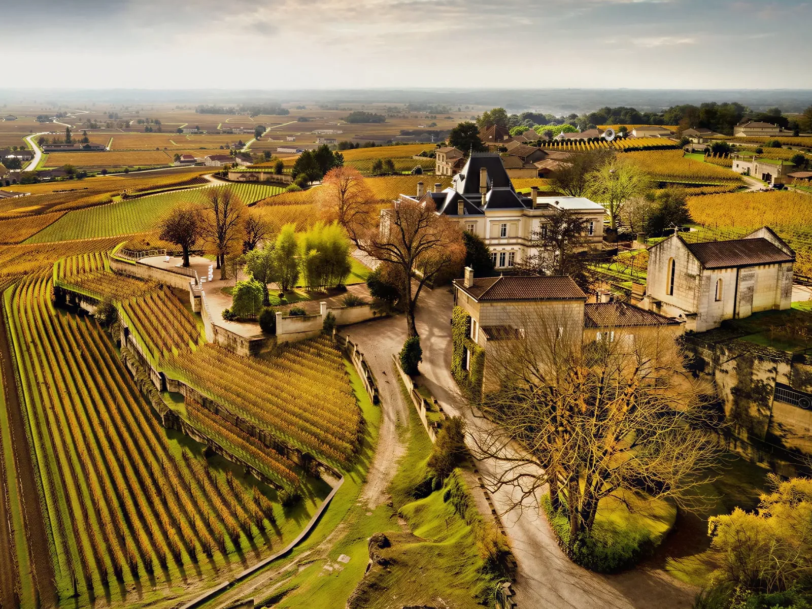 Vineyards in Bordeaux