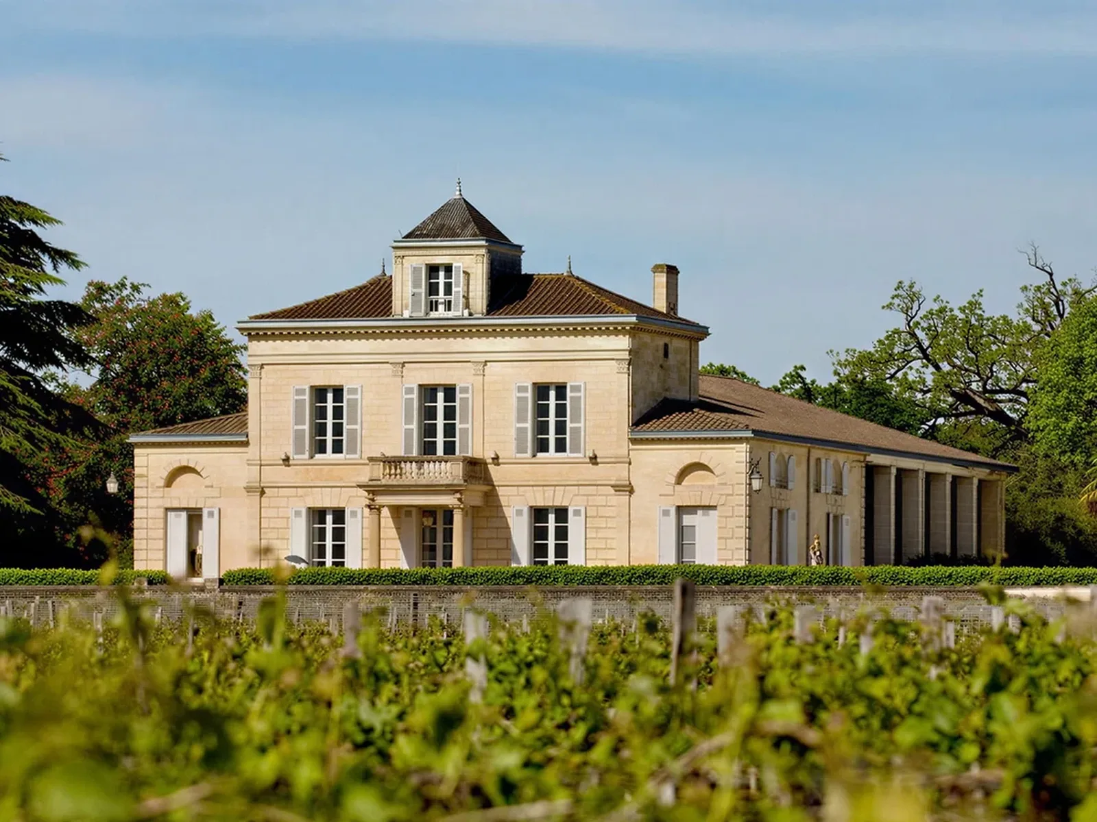 Vineyards in Bordeaux