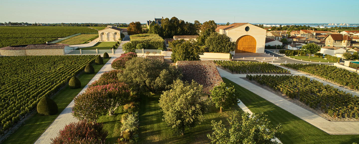 How to Visit Chateau Mouton Rothschild winery for a Tasting