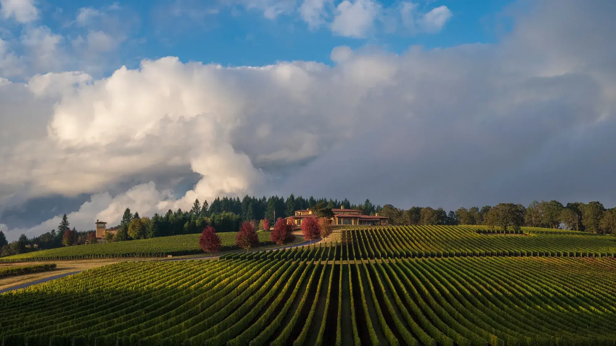 Domaine Serene Winery Tasting Guide