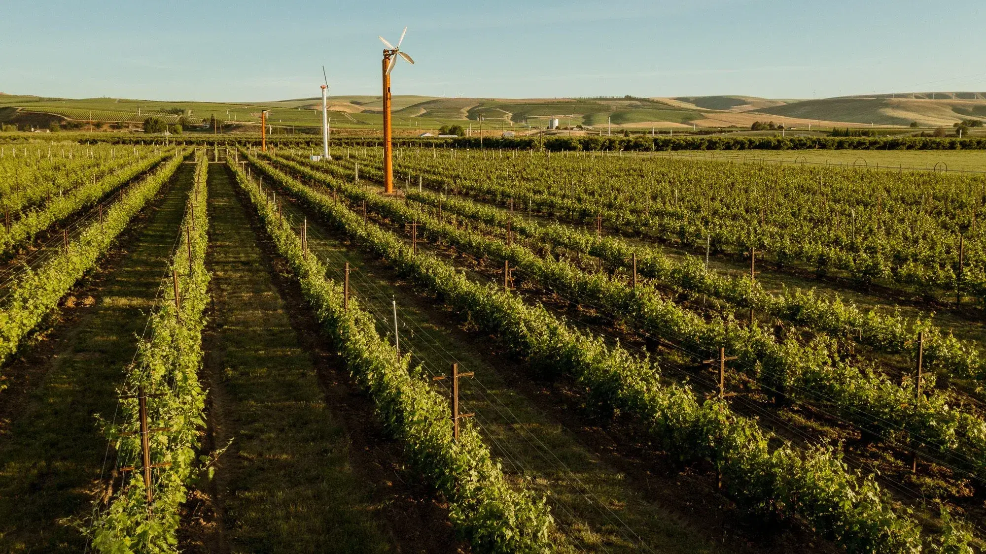 Wine Tasting at Force Majeure Winery in Walla Walla Valley, Washington