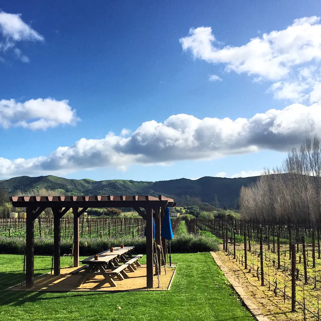 Melvill e's Wine Portfolio features a prominent wooden pergola with picnic tables.