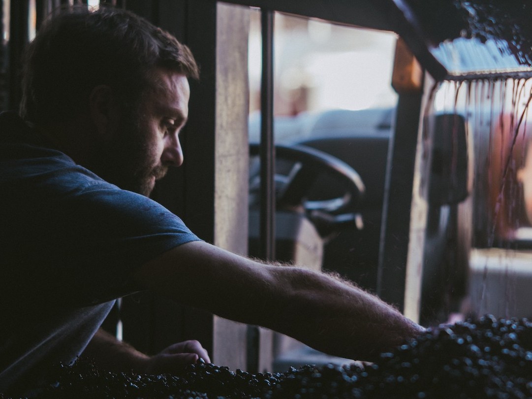 Matt Dees, a bearded man in a blue shirt, works with dark grapes in a dimly lit cellar, with a window revealing a blurred vehicle outside.