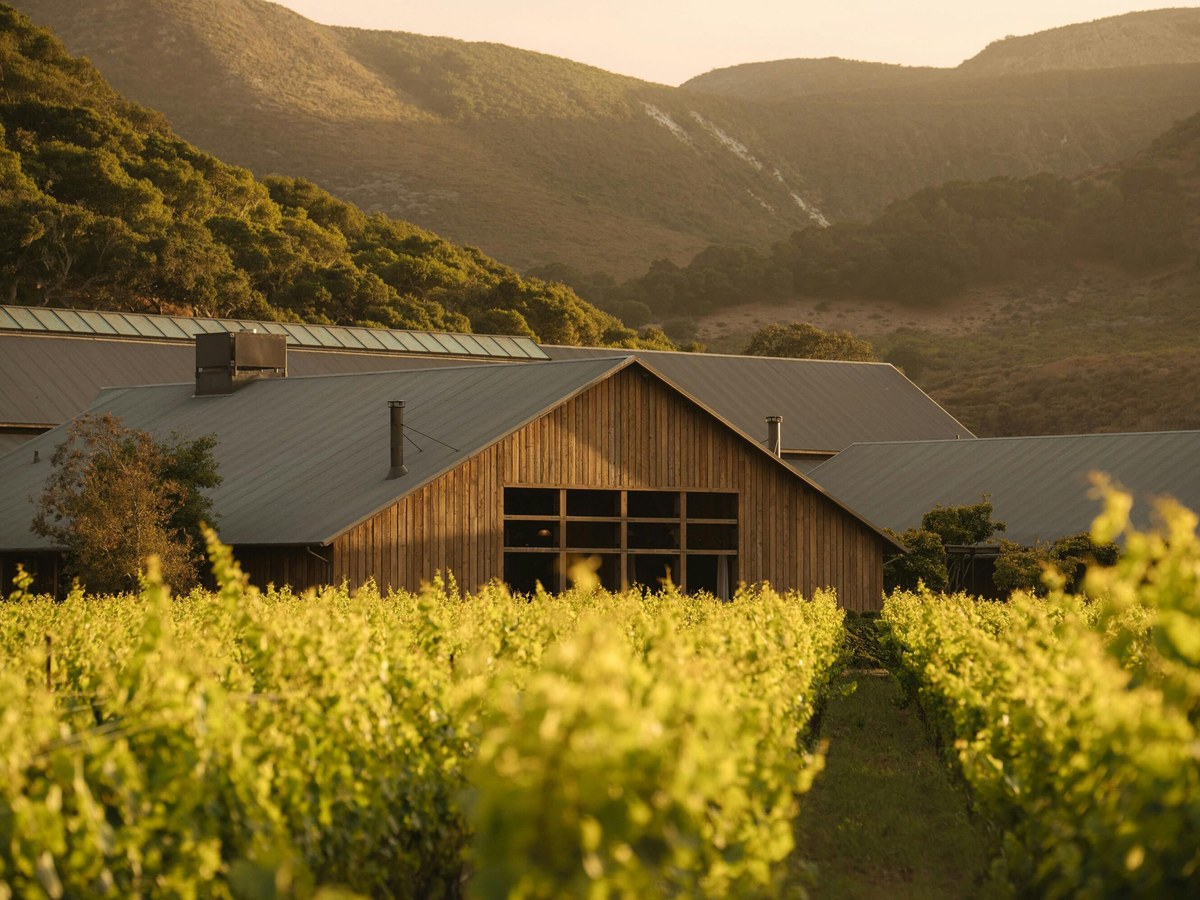 The Hilt: Modern winery architecture nestled among vineyards and rolling hills.