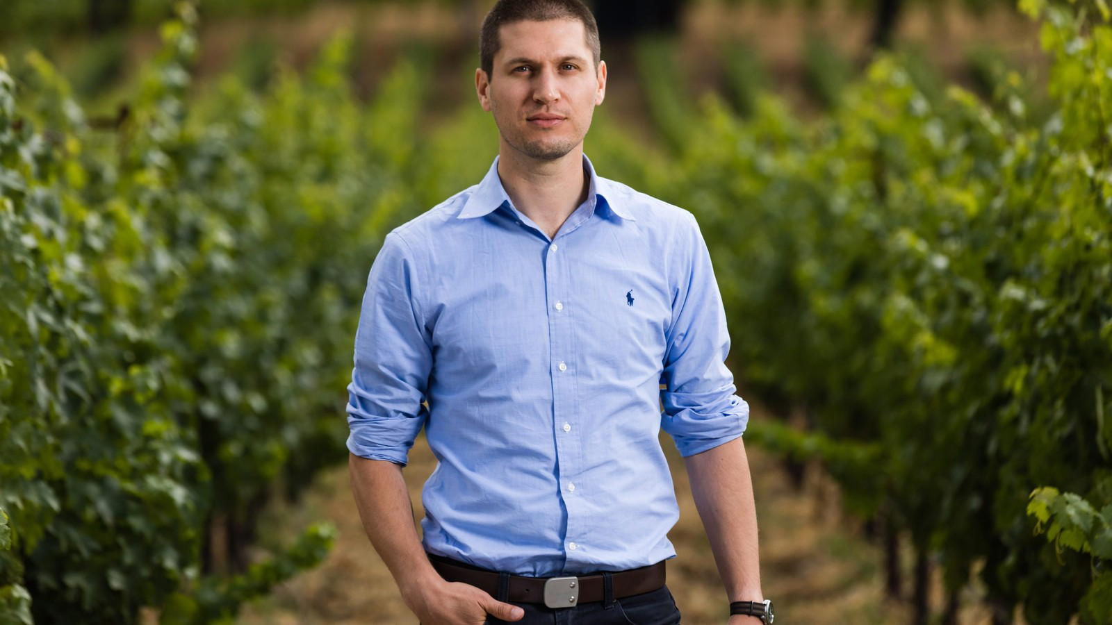 Cover image for guide: Winemaker Matt Crafton of Chateau Montelena's Long Game