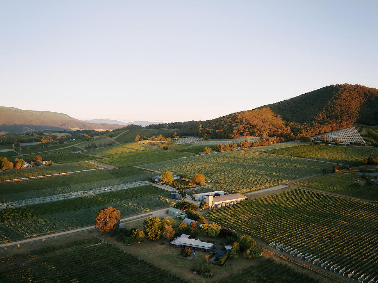 World Atlas of Wine 9th Edition Maps a Hotter Era