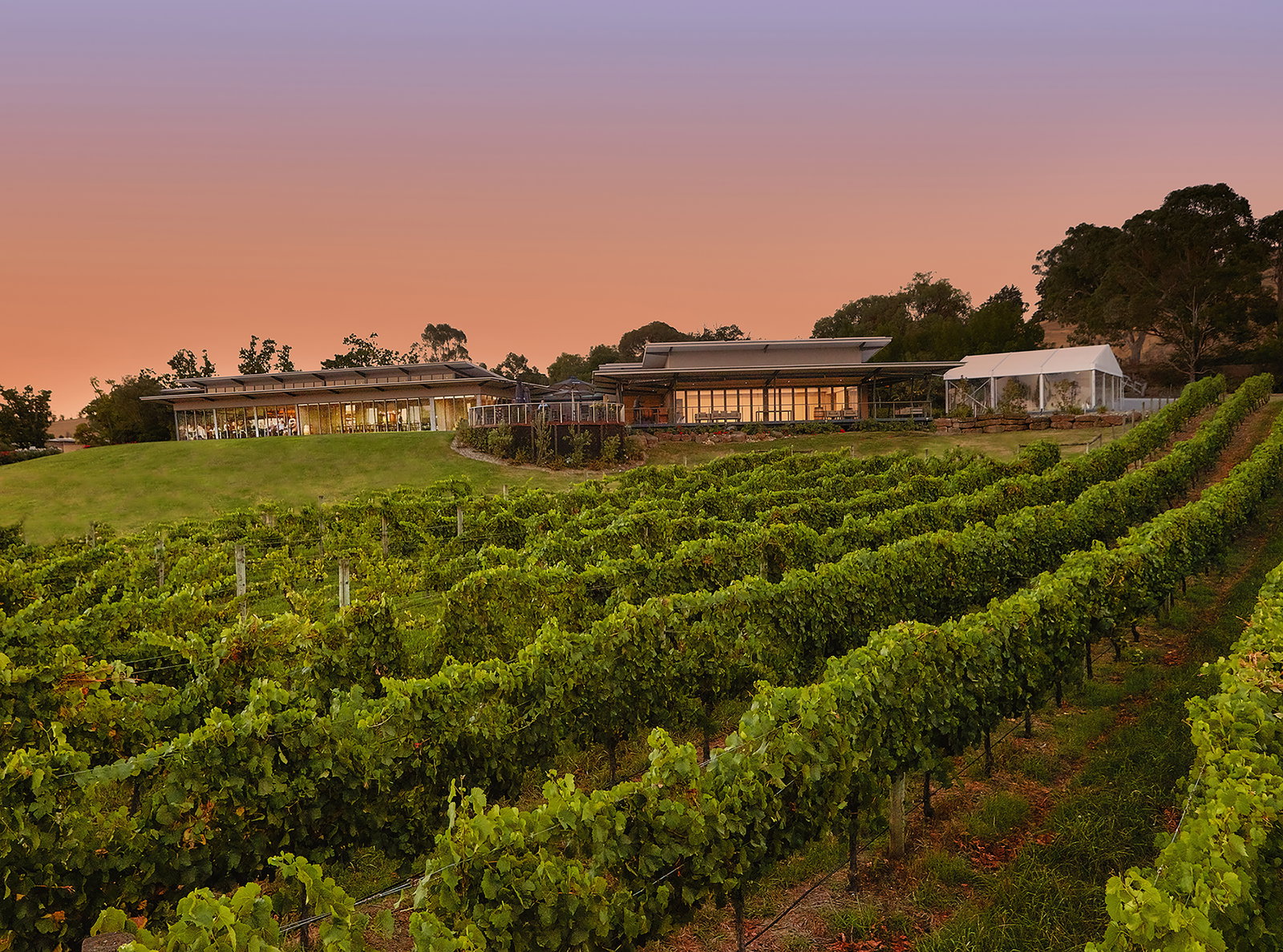 Joval Family Wines vineyard Yarra Valley estate