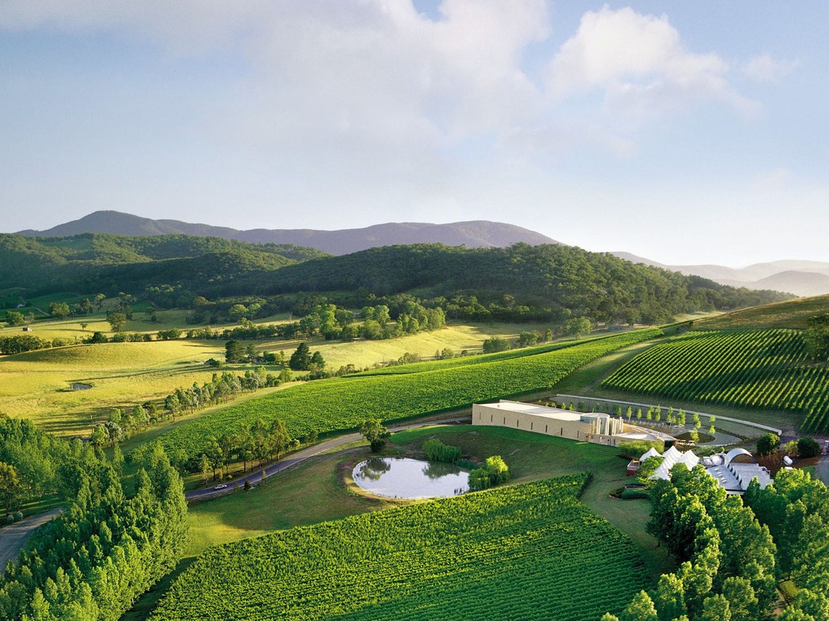 Aerial view of TarraWarra Estate winery and vineyard in the Yarra Valley, showing the cellar door building, a pond, and rolling green hills.