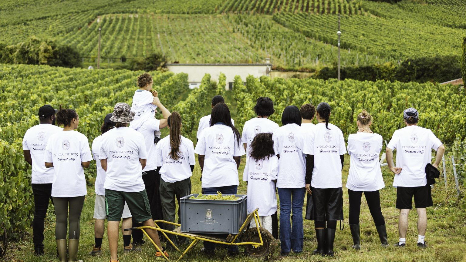 Yvonne Seier Christensen Champagne: How an Outsider Built Excellence