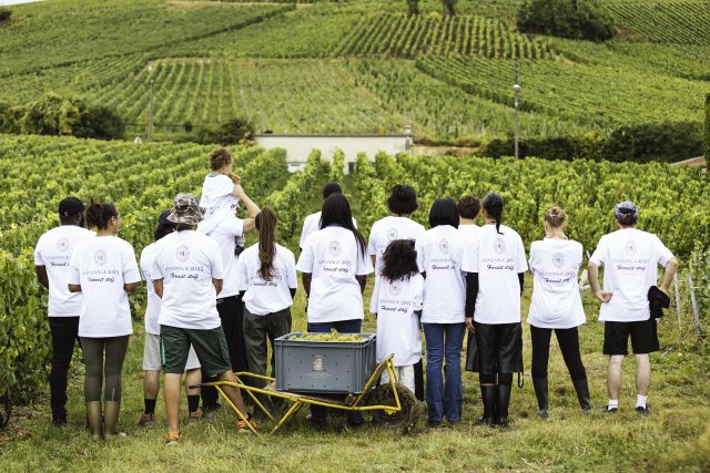Yvonne Seier Christensen Champagne: An Outsider’s House
