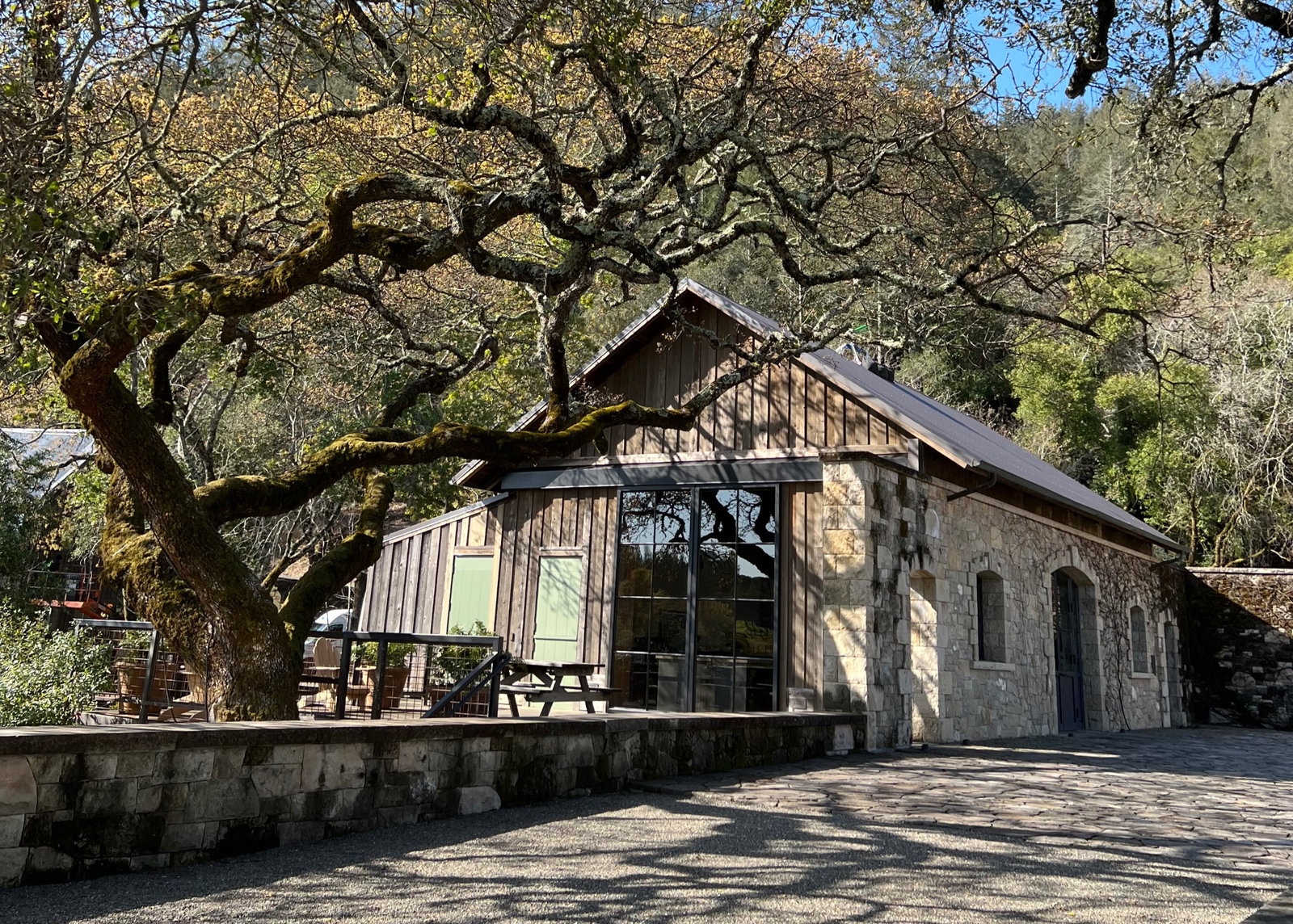 the outside of a winery with a large tree