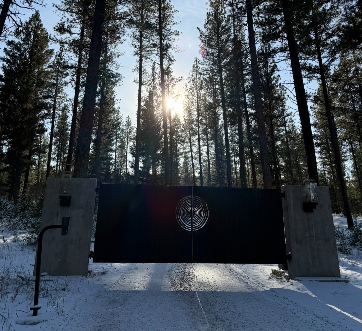 Sunlight peeks through tall pine trees behind a black gate with a circular design, set in a snowy forest. Shadows stretch across the ground.