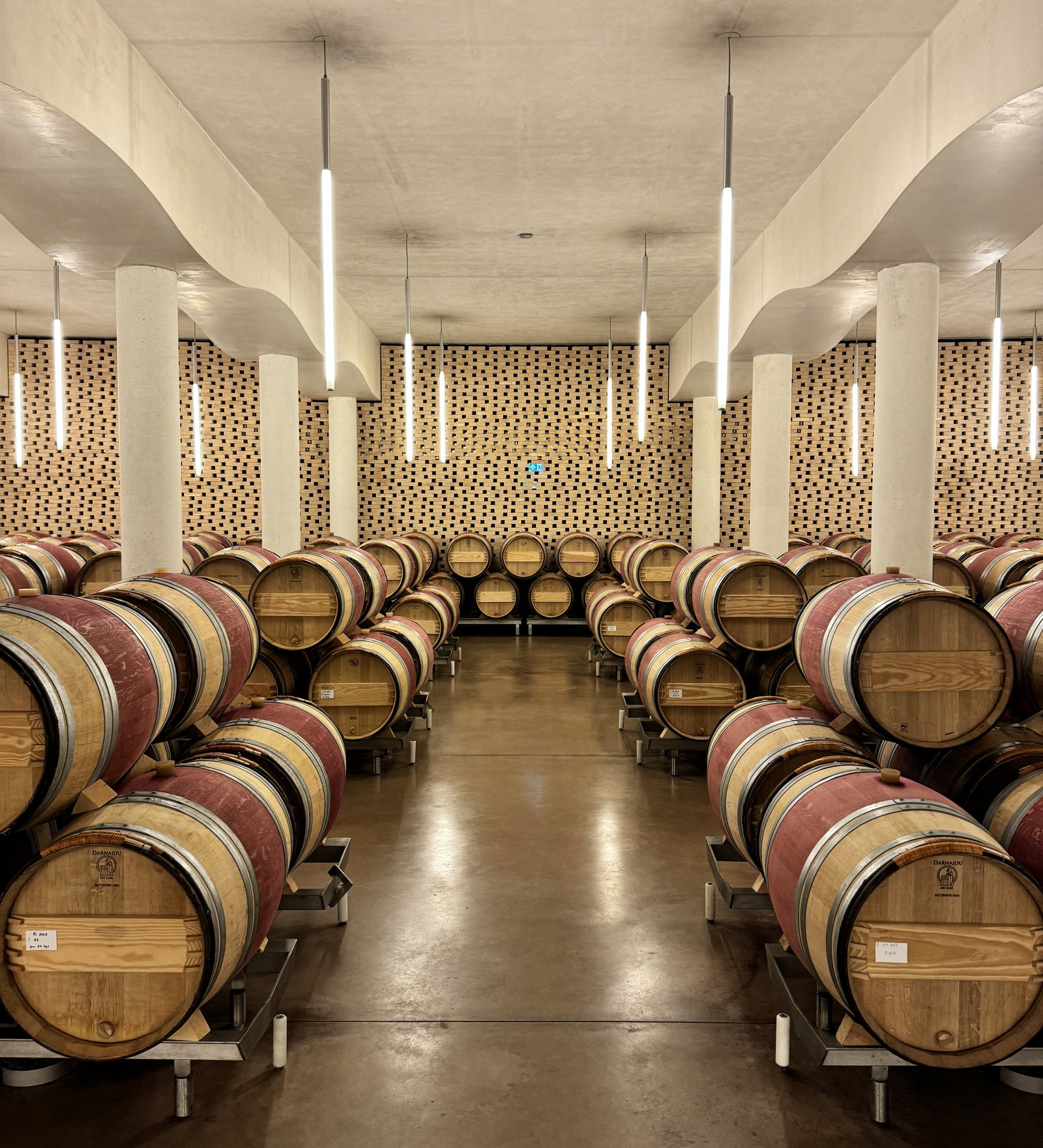 a modern wine cellar with wine barrels
