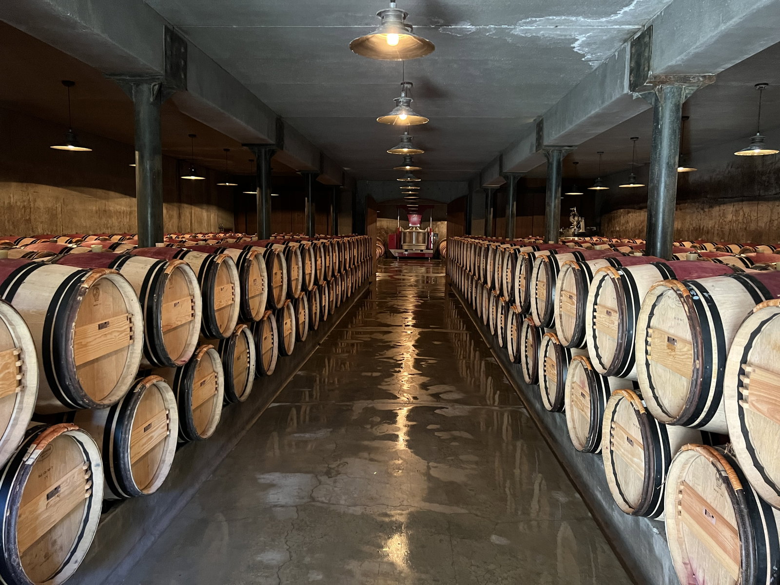 a wine cellar filled with barrels