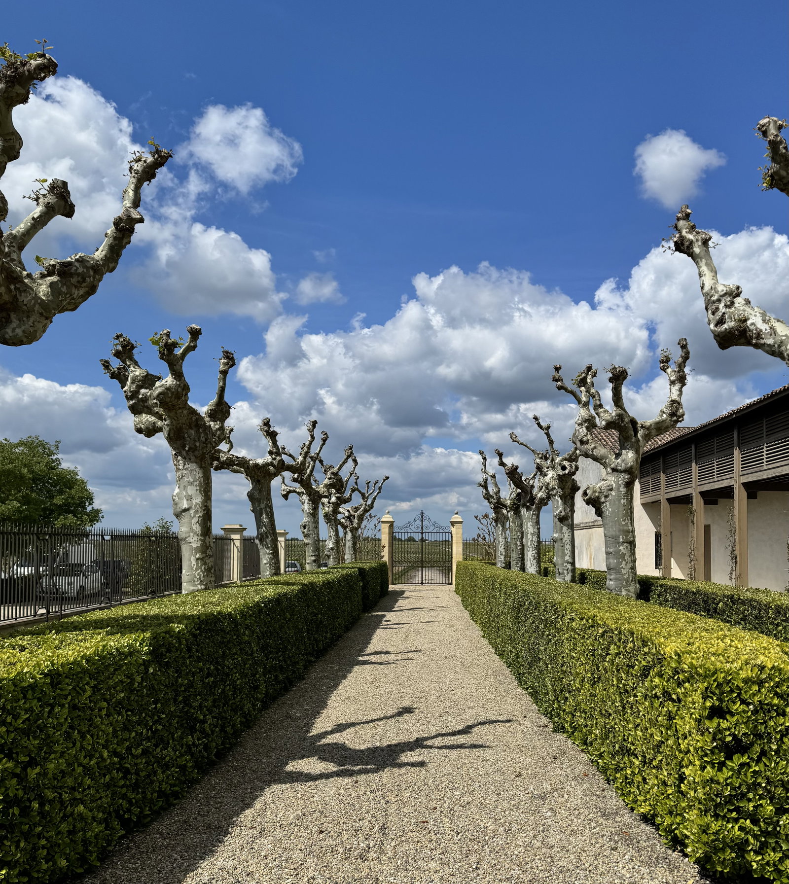 a long walkway with a gate and trees on both sides