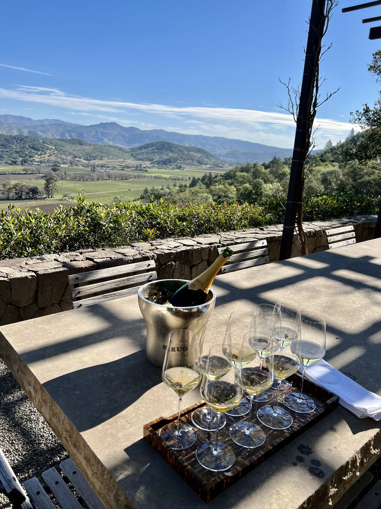 a bucket of champagne overlooking the vineyards