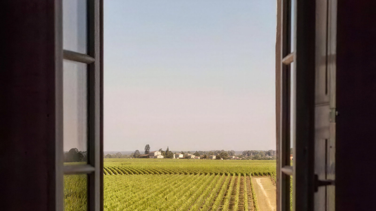 View through open window of green vineyard rows under blue sky. Houses and trees in the distance create a serene rural scene.
