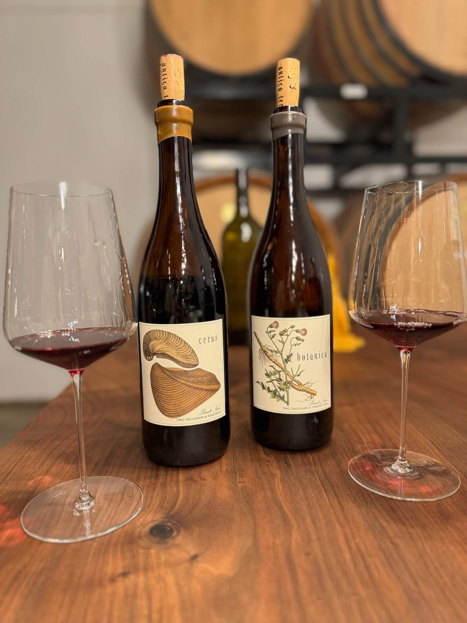 Antica Terra's 2 wines: 2019 Ceras and 2021 Botanica