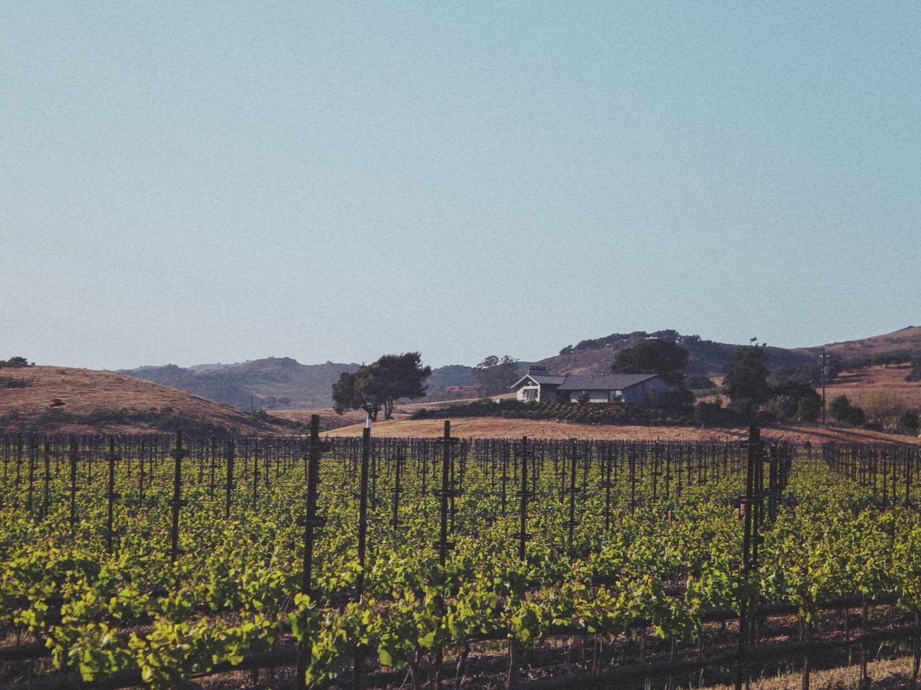 The Mae Vineyard Tasting Room at Tyler Winery