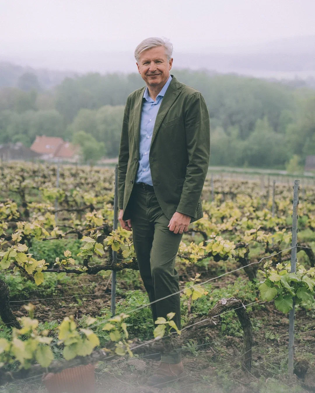 Man in a green suit stands in a lush vineyard, with misty hills and a distant house in the background, conveying a serene mood.