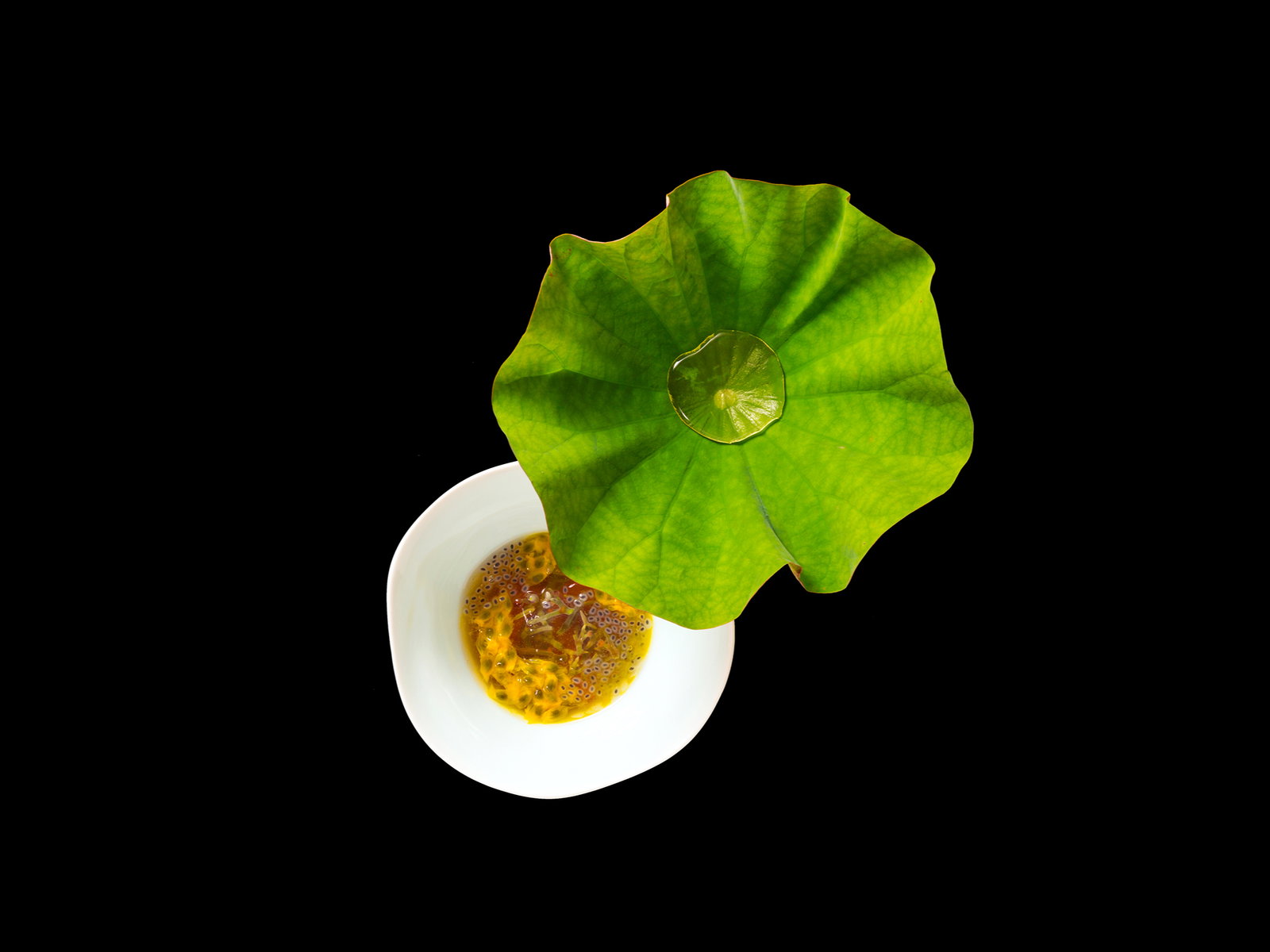 Green lotus leaf covers a white bowl with yellow passion fruit pulp on a black background. Vivid contrast and fresh, vibrant feel.